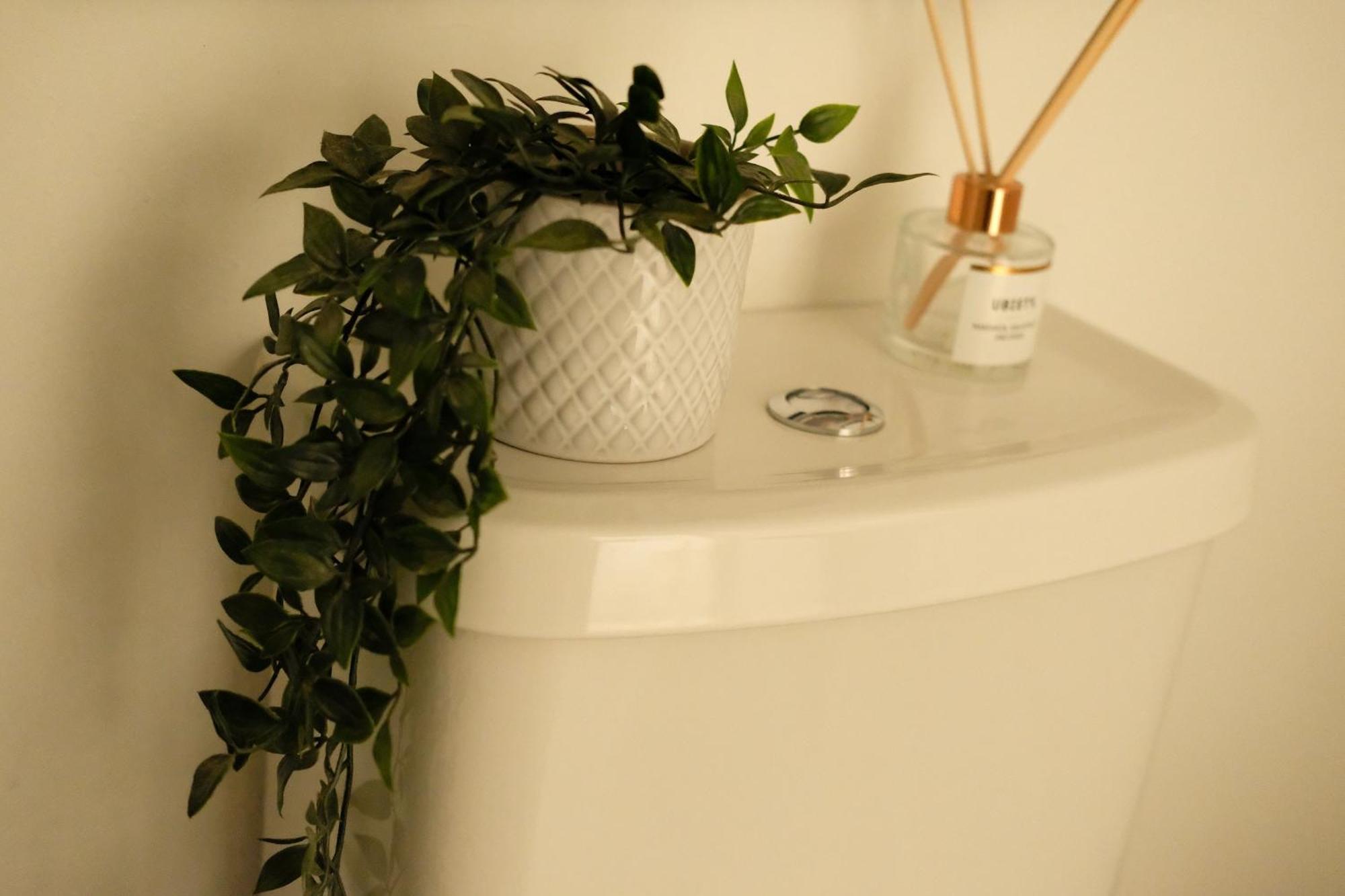 Spacious City Centre Apartment Bath Exterior photo